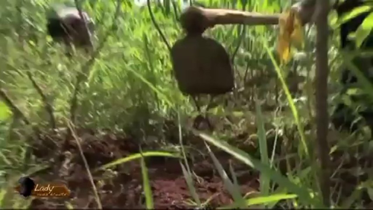 Lady vous écoute du 130114