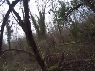 GTA lapin Terminator