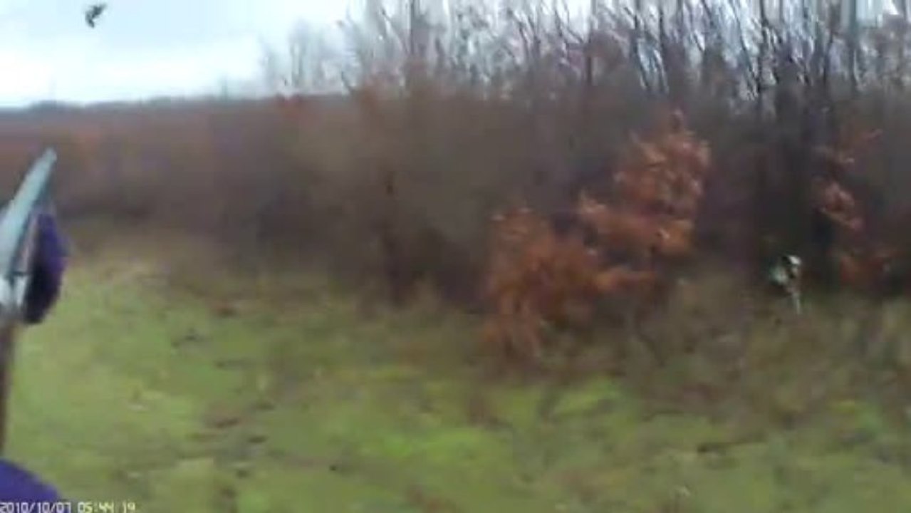 Serdar ABİK ÇULLUK AVI