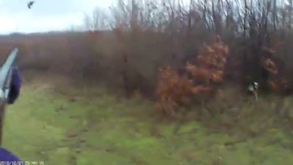 Serdar ABİK ÇULLUK AVI