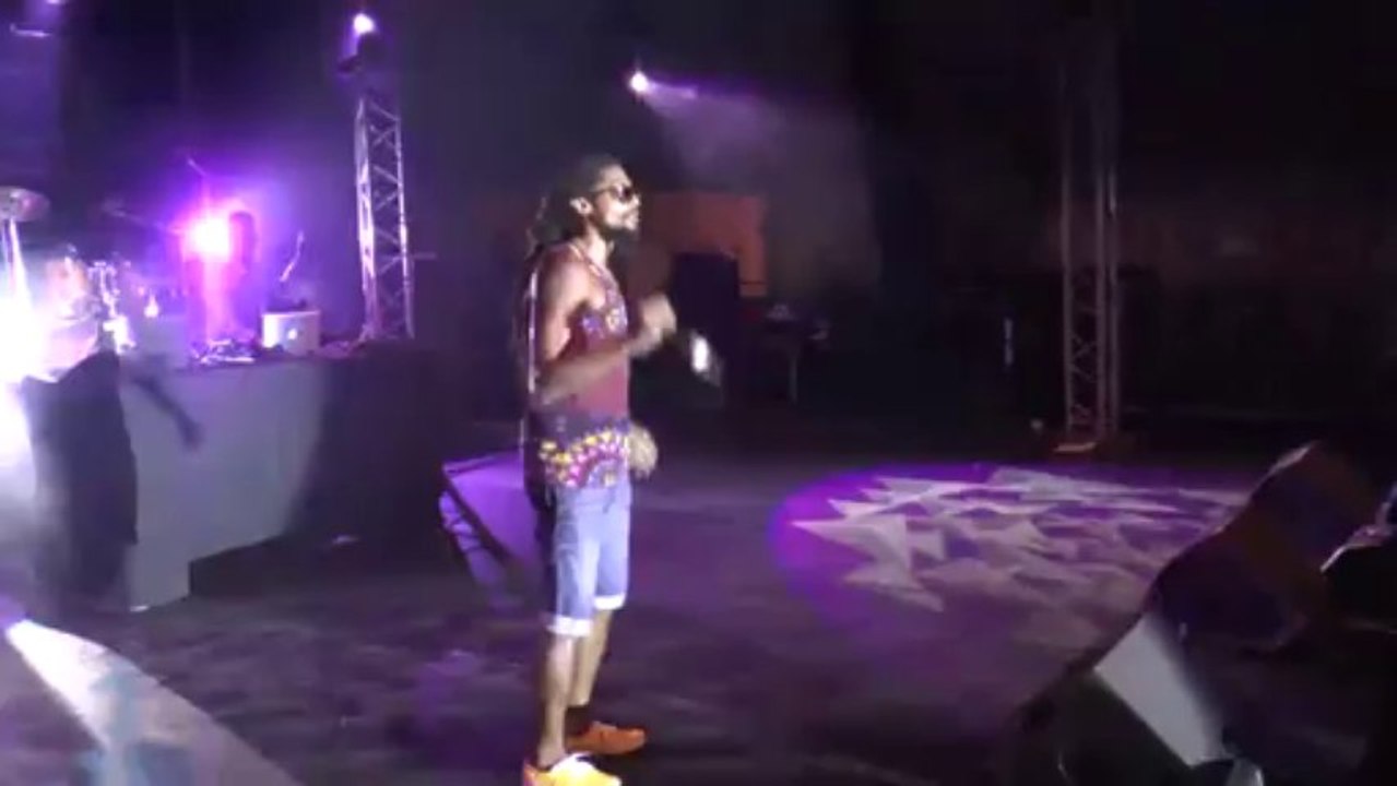 MIEL VERT 2014 soirée du 15 janvier PIX’L, KM DAVID, KALASH, DJ AWAX