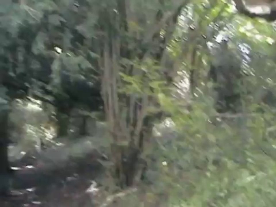 witchhoose1