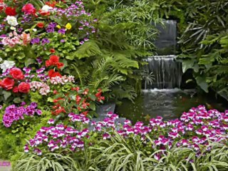 Prej nje shpati (Bajrush&Hajdar Doda)