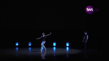 Danseurs de l'Opéra de Paris à Saint-Lô [TéVi] 15-01-14