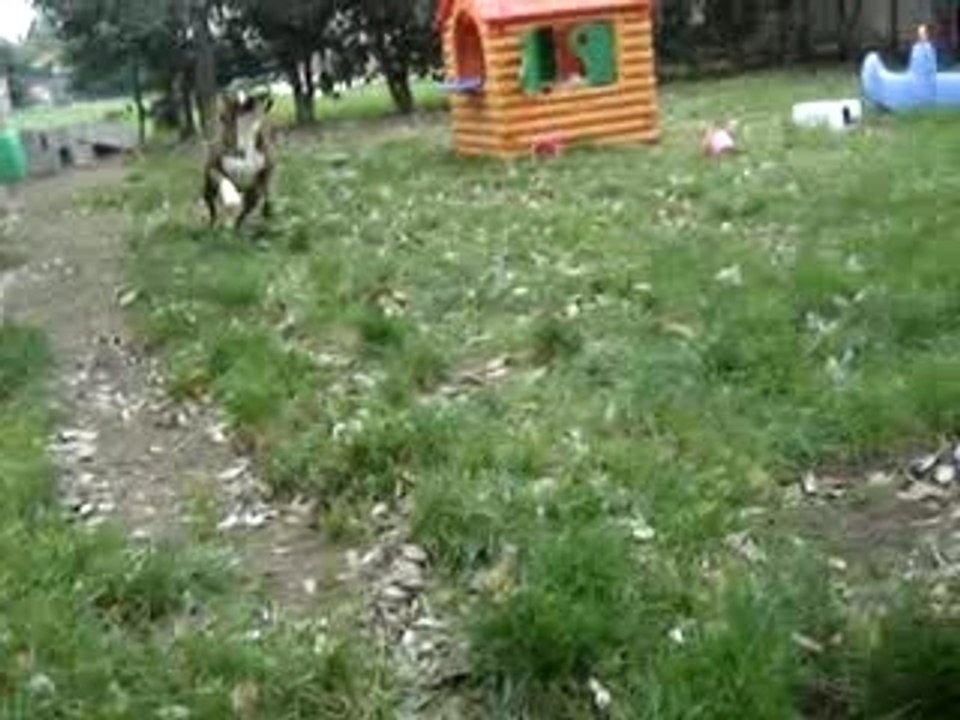 MOV02548