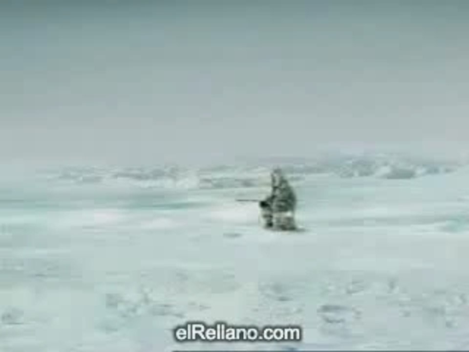 pescando