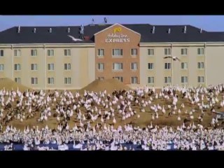 Kusbakisi Dunya BL 01 P2