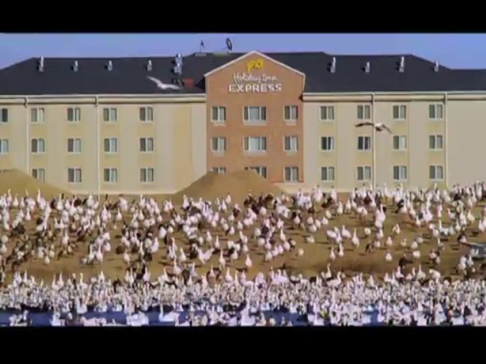 Kusbakisi Dunya BL 01 P2