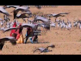 Kusbakisi Dunya BL 06 P3