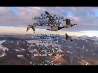 Kusbakisi Dunya BL 02 P3