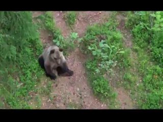 Kusbakisi Dunya BL 03 P2