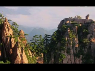 Kusbakisi Dunya BL 05 P2