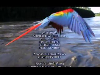 Kusbakisi Dunya BL 05 P3