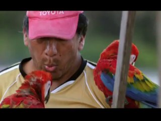 Kusbakisi Dunya BL 06 P1