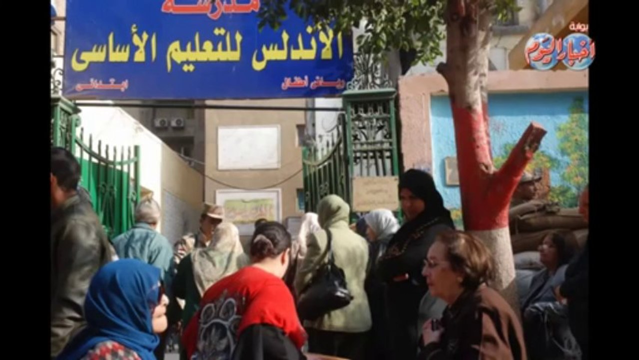 الإقبال علي دستور 2014