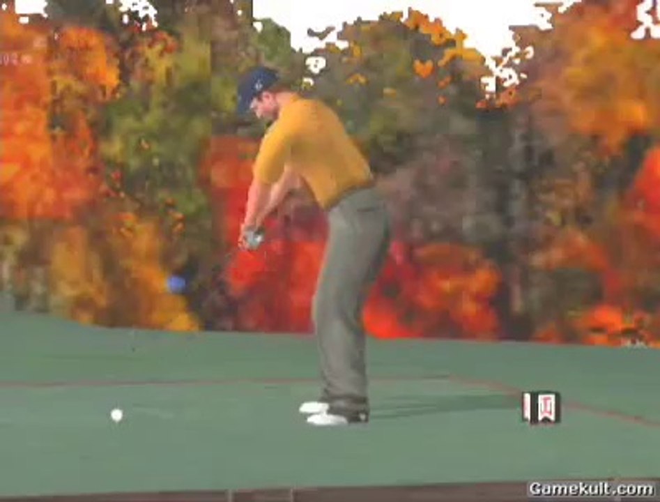 Tiger Woods PGA Tour 2005 - Dans le trou