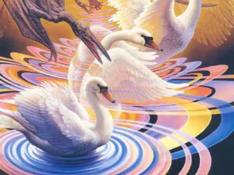Valse des cygnes