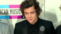 Harry Styles Admits He Misses the Simple Life