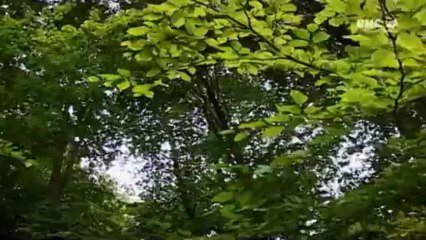 14-18 les derniers héros l'horreur des tranchées