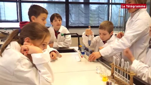 Quimperlé. Fête de la science au lycée de Kerneuzec