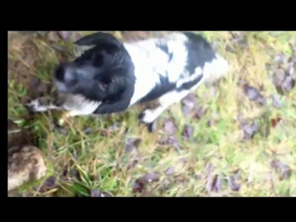 CAUSSE MEJEAN épisode 1