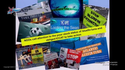 Jean-Marc Fromentin - CIESM Panel on Fishery Governance