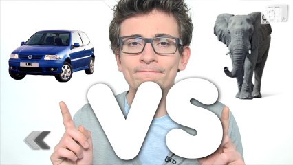 Éléphant vs Voiture