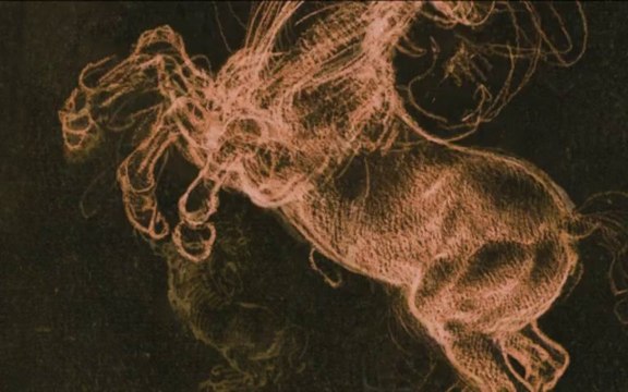 Léonard de Vinci - Animation par morphing - Extrait