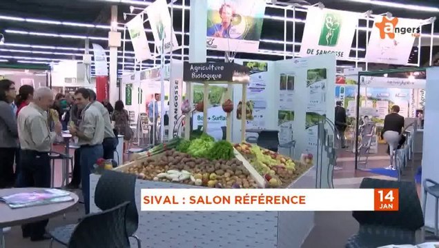 JT JANVIER 2014 [S.1] [E.14] - Le Journal du mardi 14 janvier