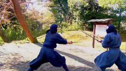 Ninja Gaiden II - Les boss par Itagaki