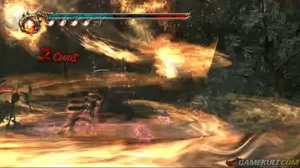 Ninja Gaiden II - Ninjas à volonté