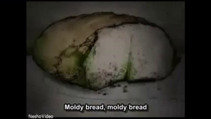 S.A.R.S. - Budjav Lebac - English Sub.