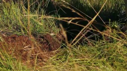 En tête à tête avec Jean-François Marc