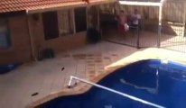 Flippant : Backflip dans la piscine depuis un toit