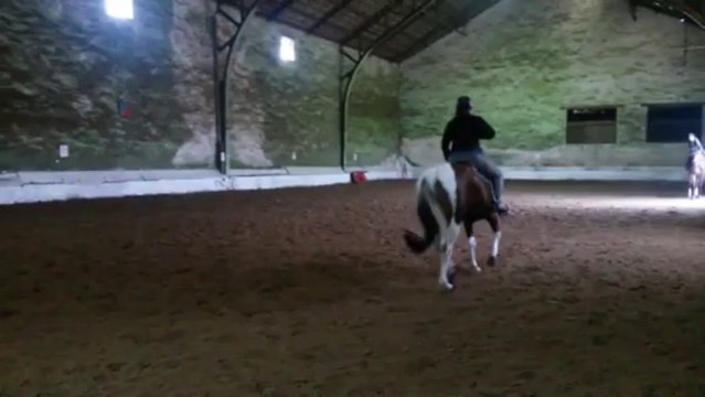 Titi et les extensions d'encolure