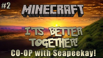 It's Better Together :: Minecraft Co-Op Puzzle! #2