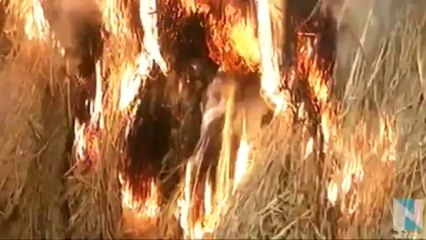 20140112宮城の小正月行事、６００年続く「柳沢の焼け八幡」