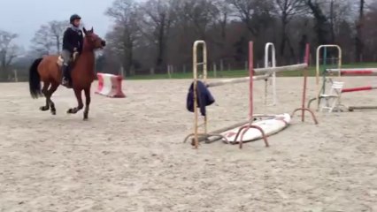 Rose oxer