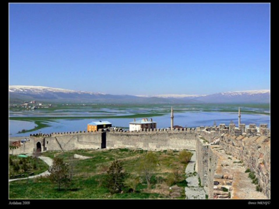 Ardahan İnternet Siteleri