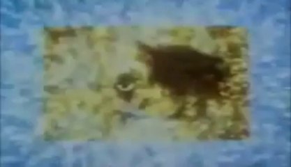 Egyptian Founding Myth