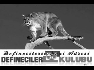 Seslideberrak Zara Yarim Yarim berrak eylül