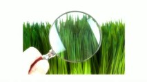 דשא סינטטי קריית טבעון - חייגו 077-2150031 - דשא קבוע