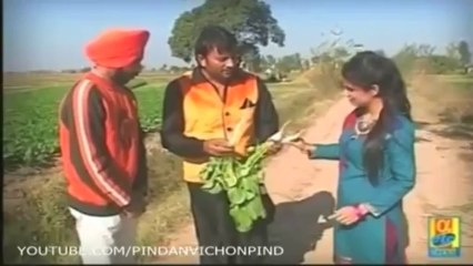 Sufi Balbir Interview Pindan Vichon Pind