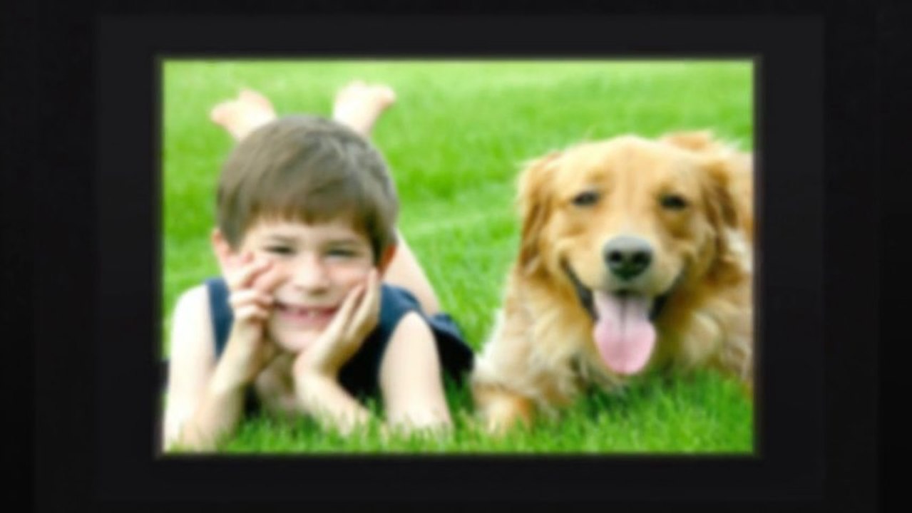 דשא סינטטי ראש פינה - חייגו 077-2150031 - דשא קבוע