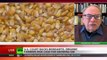 'ALERT NEWS Monsanto Mafia'_ US court backs GMO giant on seed patents against farmers