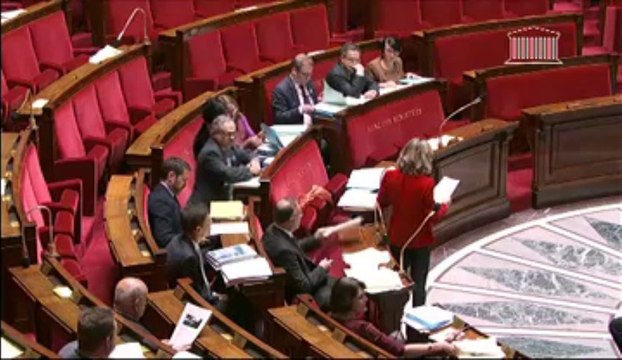 PROROGATION DU MANDAT DES MEMBRES DE L’ASSEMBLÉE DES FRANÇAIS DE L’ÉTRANGER - Mardi 14 Mai 2013