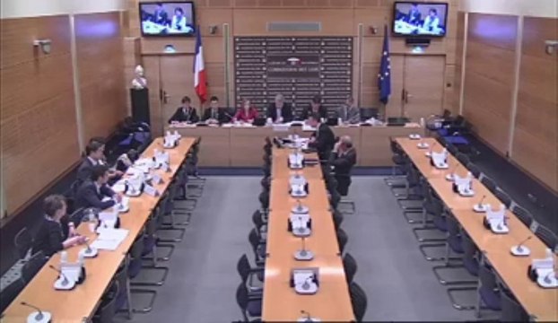 Audition de Mme Marie Françoise Pérol-Dumont, vice-présidente de l'Assemblée des départements de France et un représentant de l'association des régions de France - Mercredi 24 Avril 2013