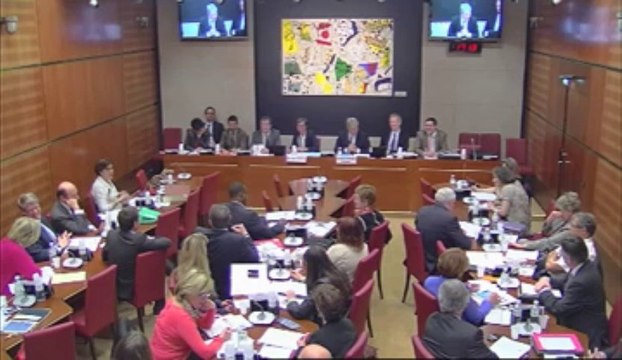 Audition de Mme Valérie Fourneyron, ministre - Mercredi 24 Avril 2013