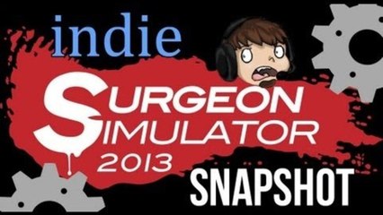 Indie Snapshot - Surgeon Simulator 2013