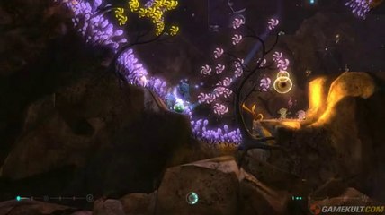 The UnderGarden - Tout est dans le boum